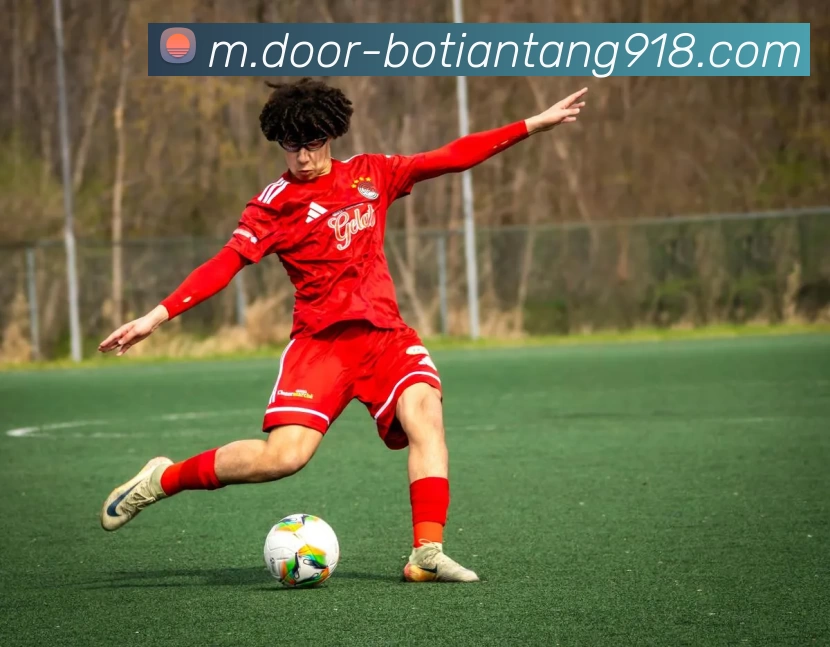 博天堂918服务体系